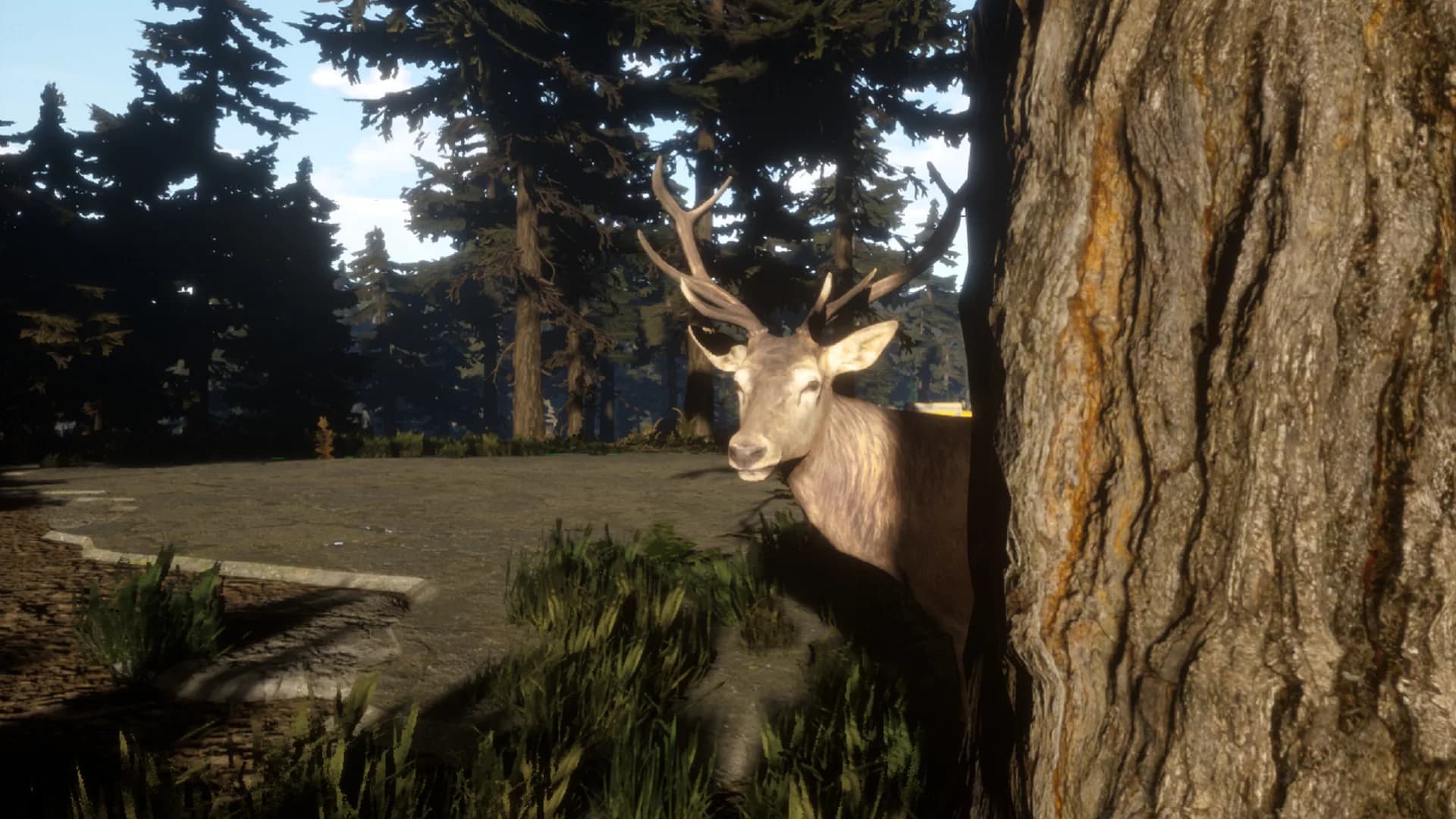 Survival: Lost Way görsel 12