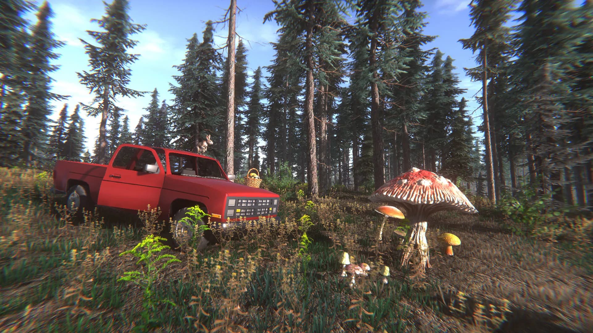 Mushroom Challenge görsel 8