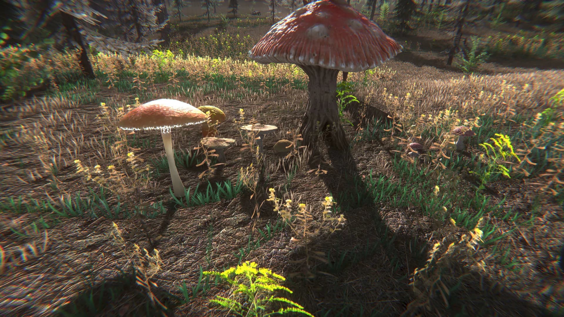 Mushroom Challenge görsel 9