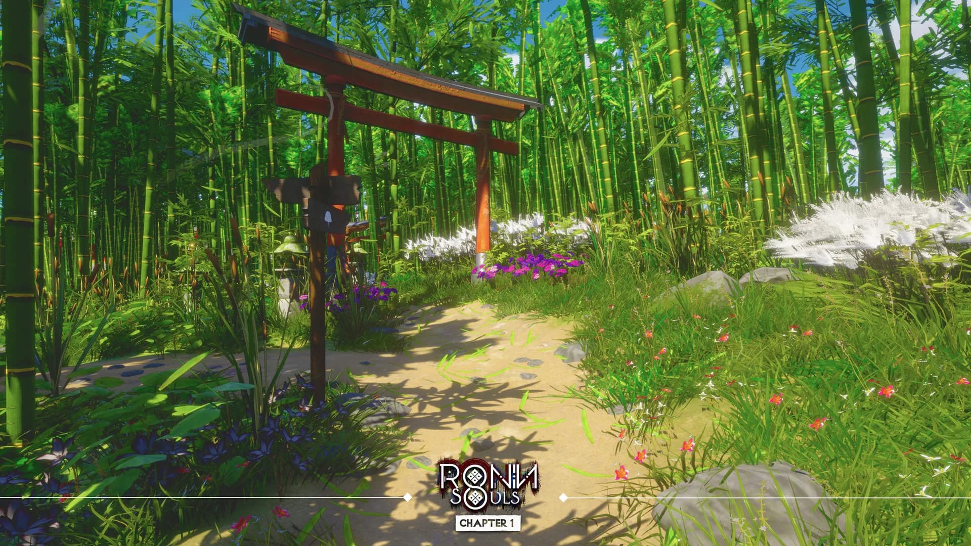 RONIN: Two Souls CHAPTER 1 görsel 9