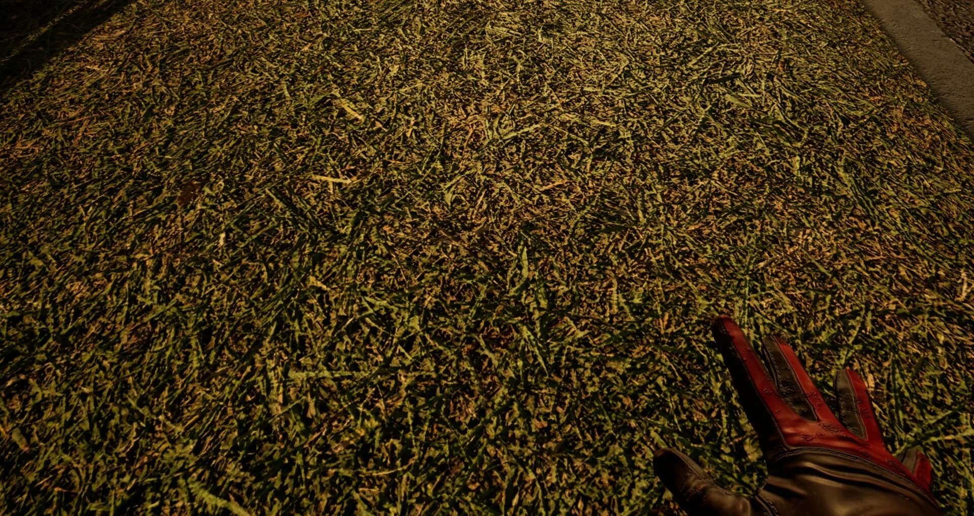 Touch Grass Together görsel 7