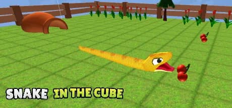 Snake In The Cube görsel 1