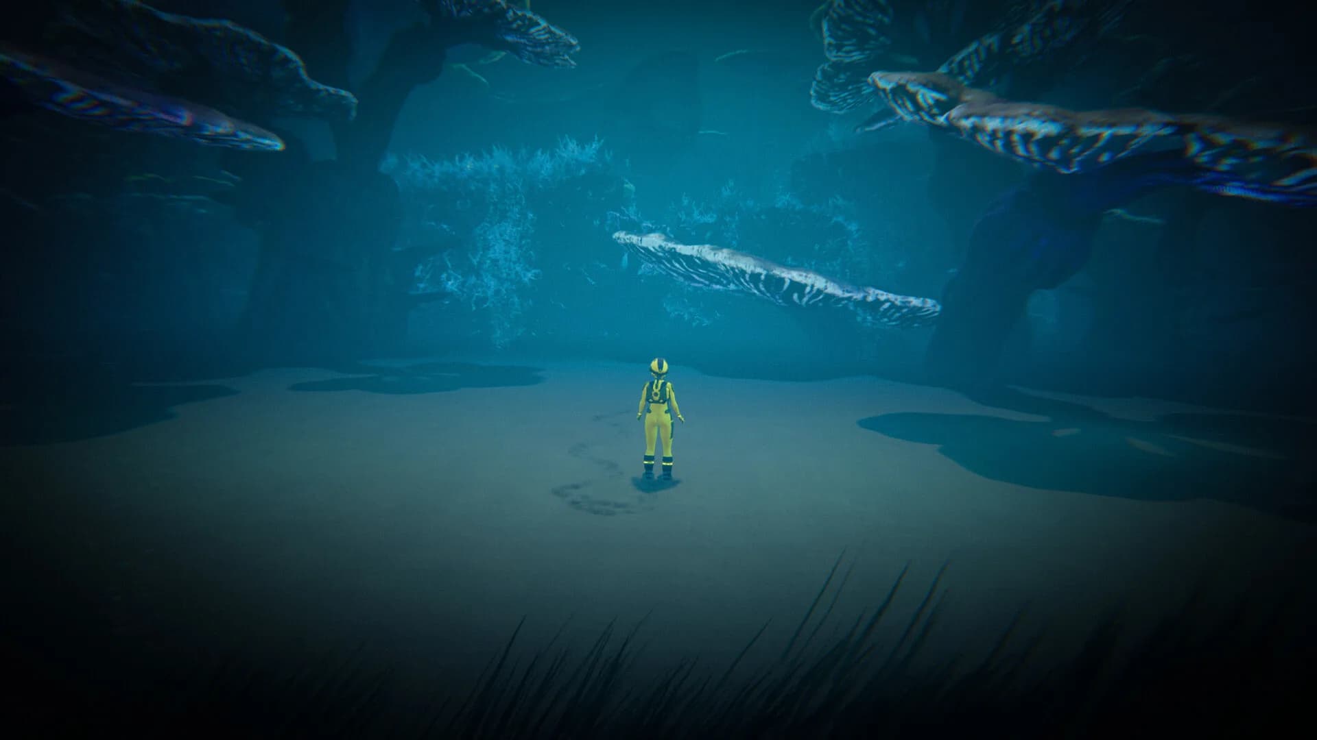 Oceanfall görsel 7