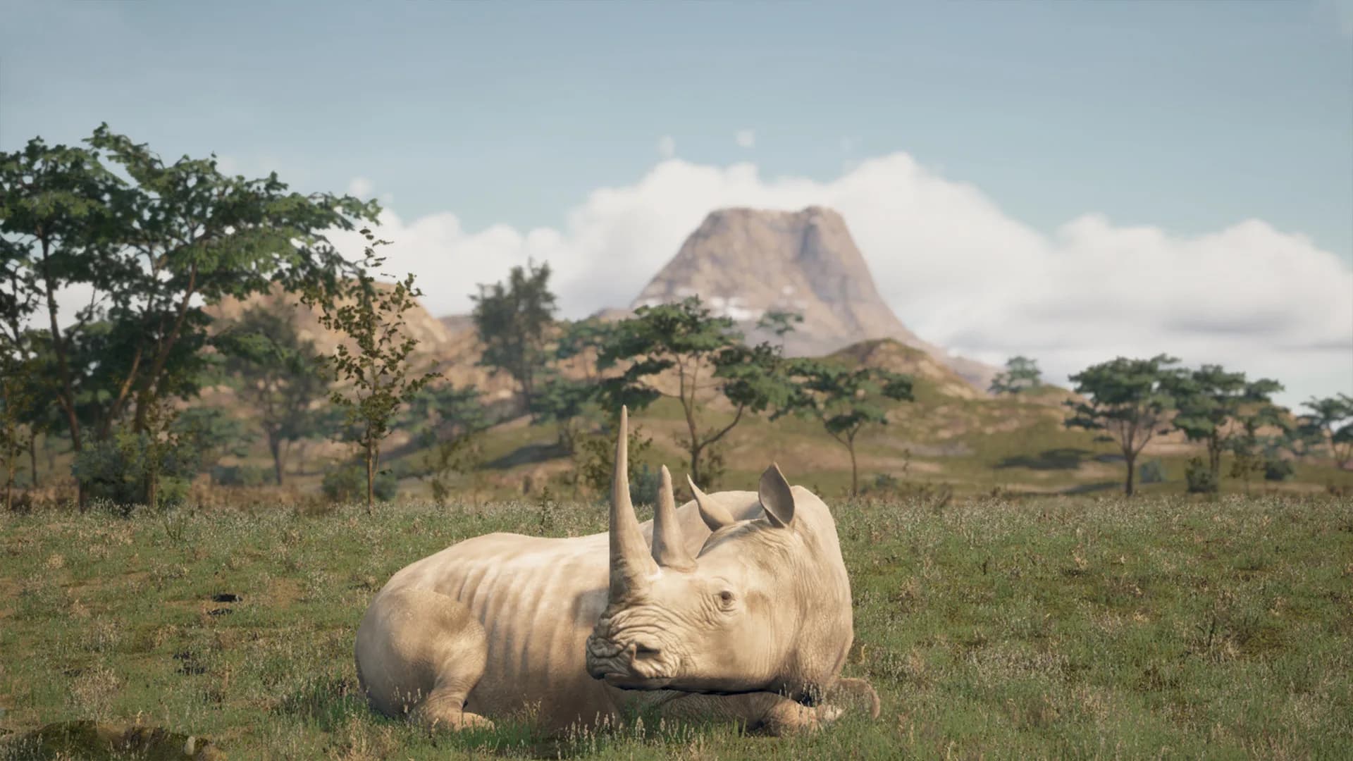 Animalia Survival görsel 3