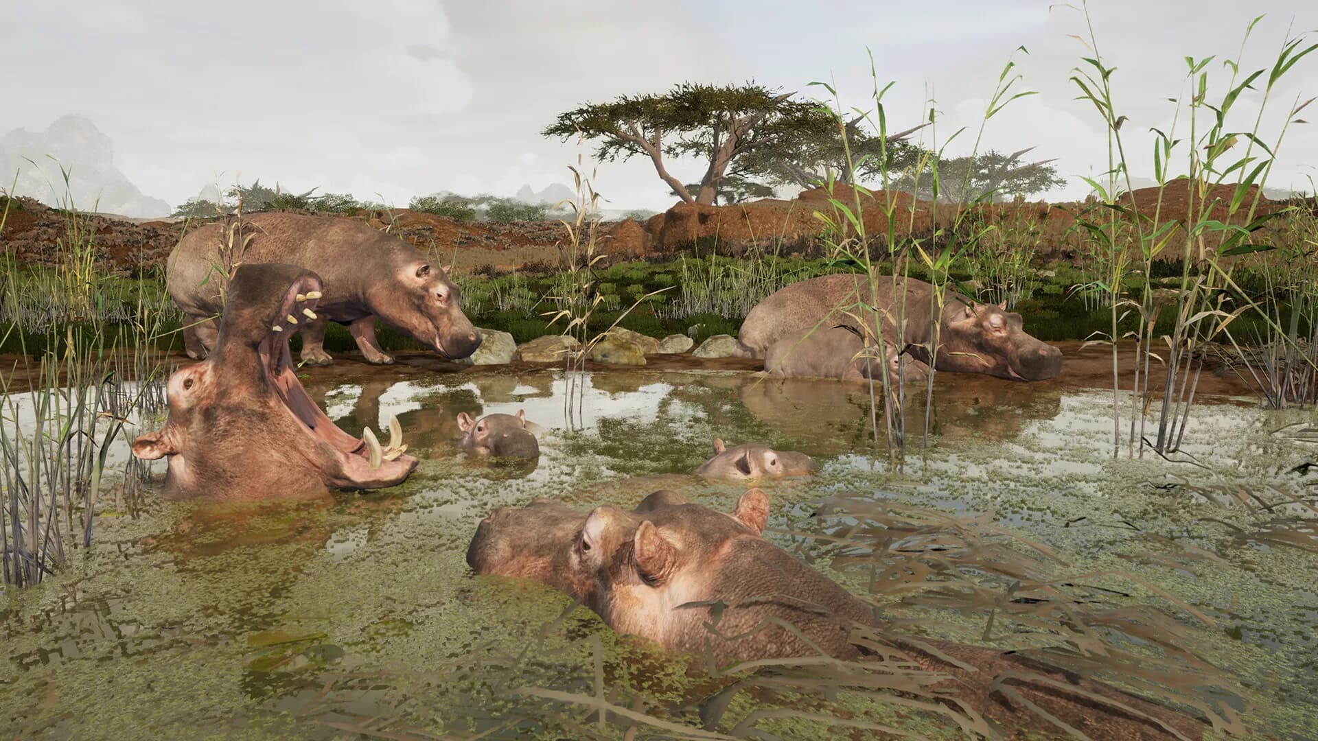 Animalia Survival görsel 12
