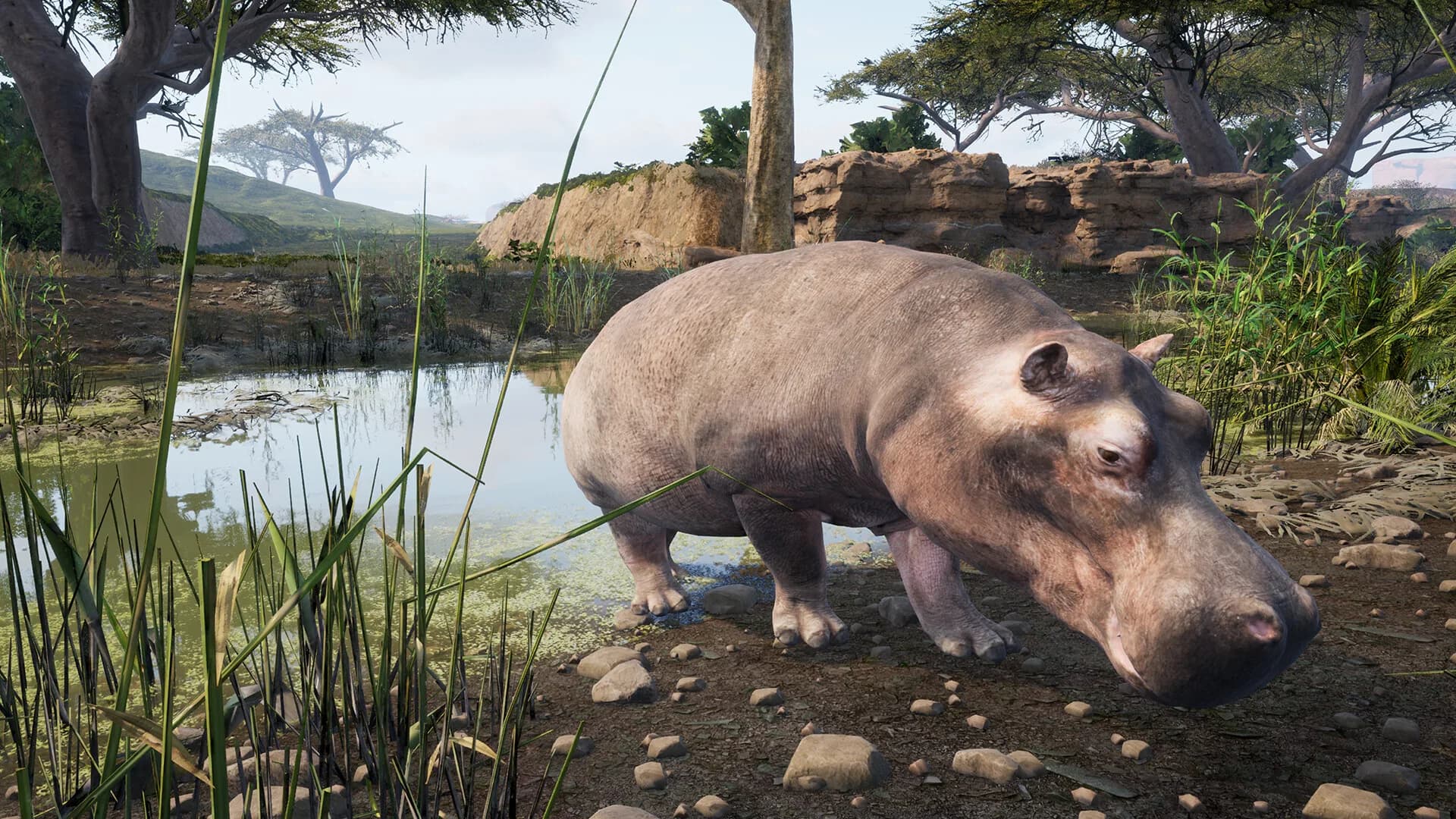 Animalia Survival görsel 13