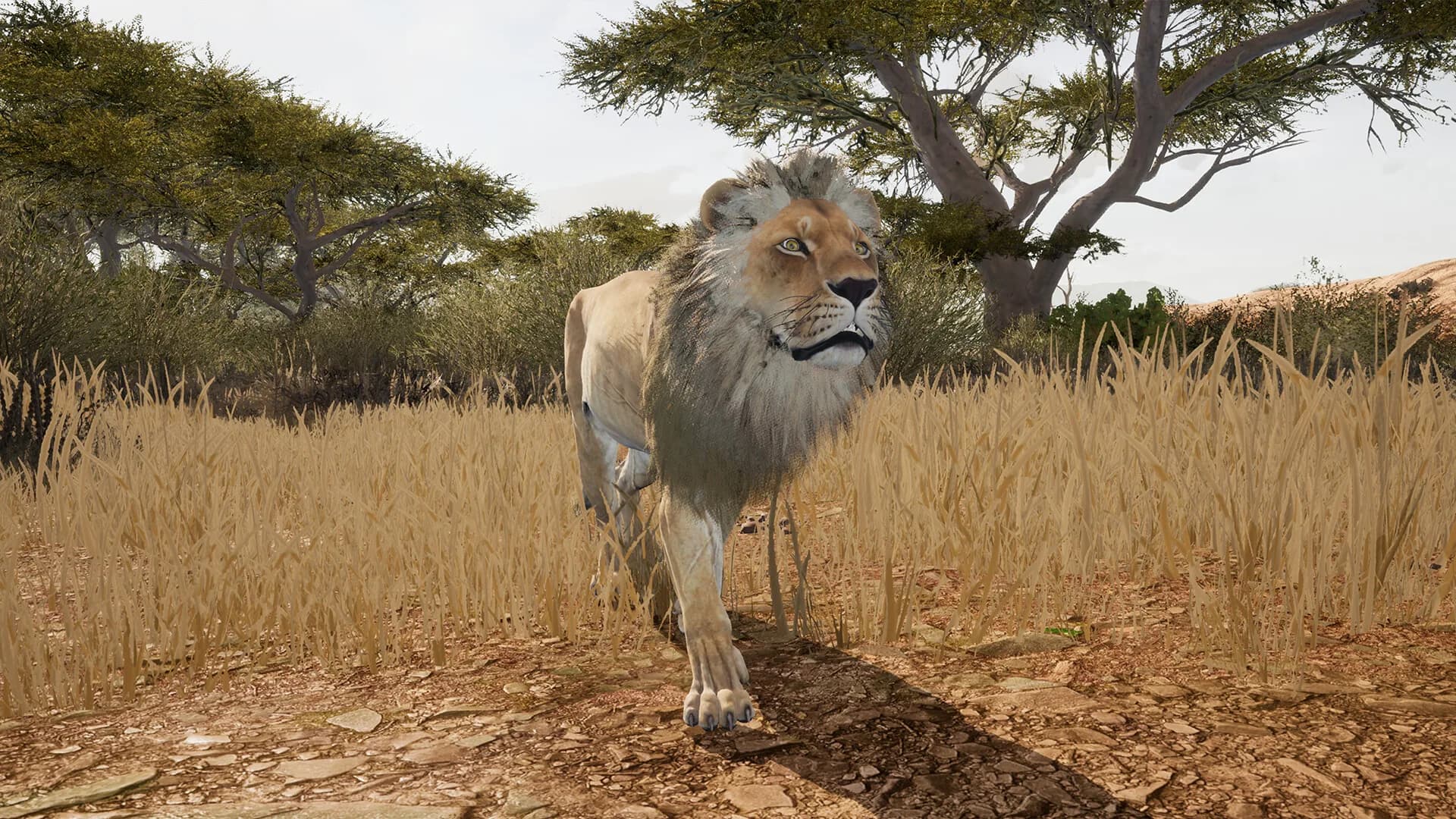 Animalia Survival görsel 15