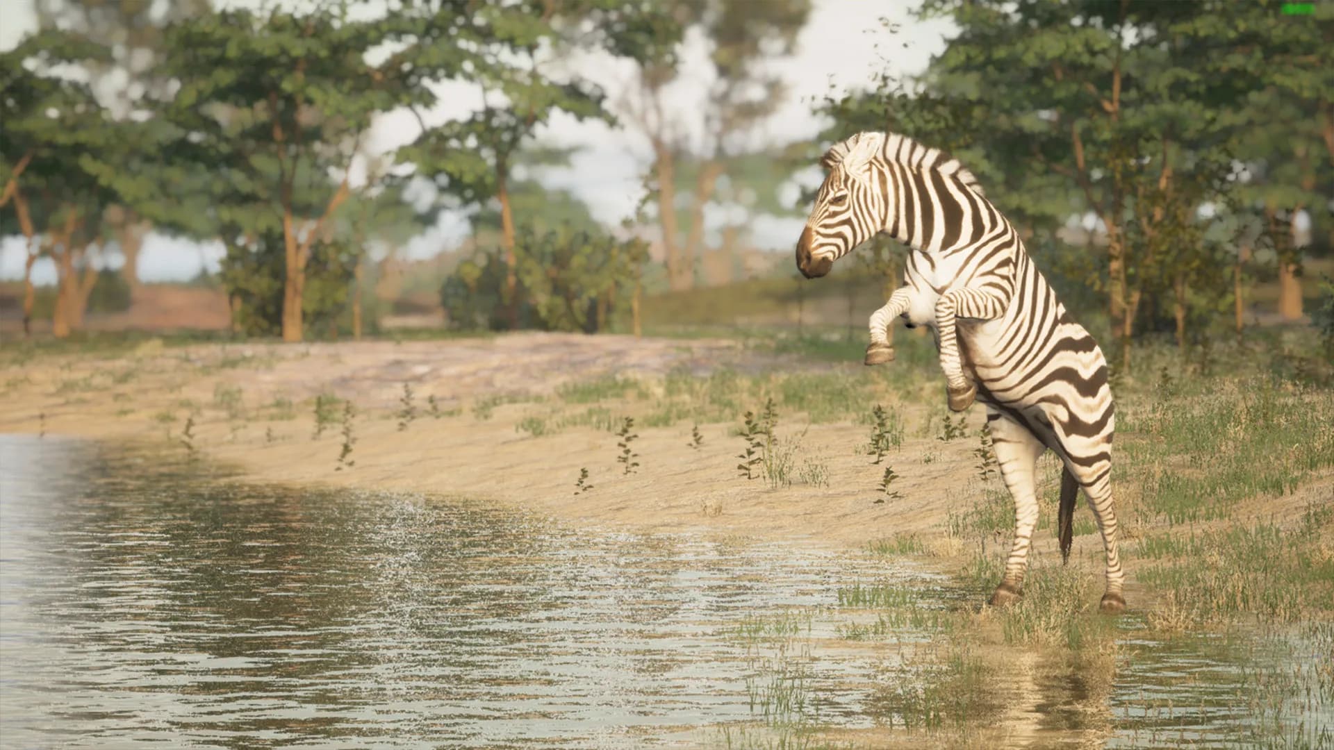 Animalia Survival görsel 4