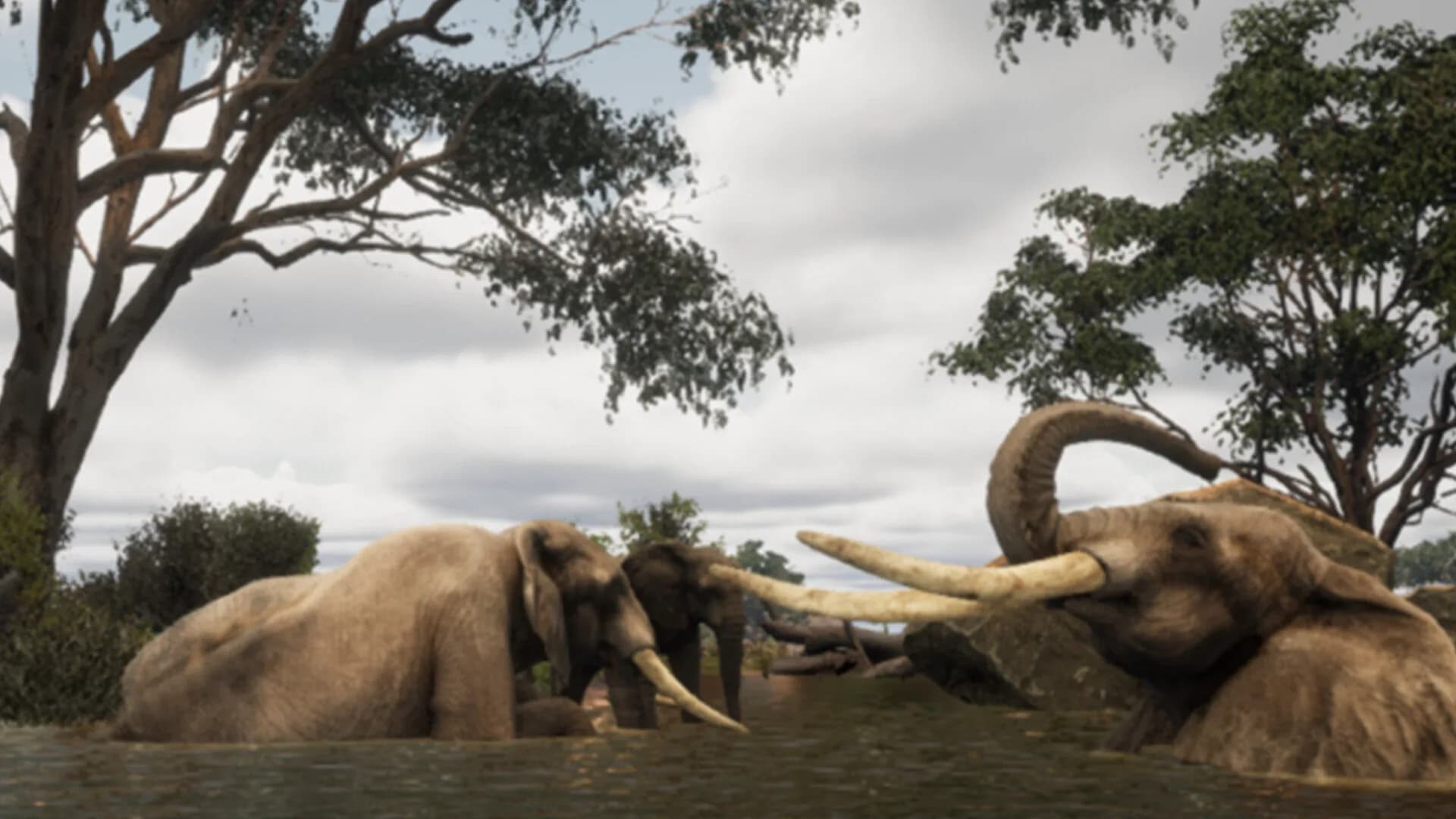 Animalia Survival görsel 5