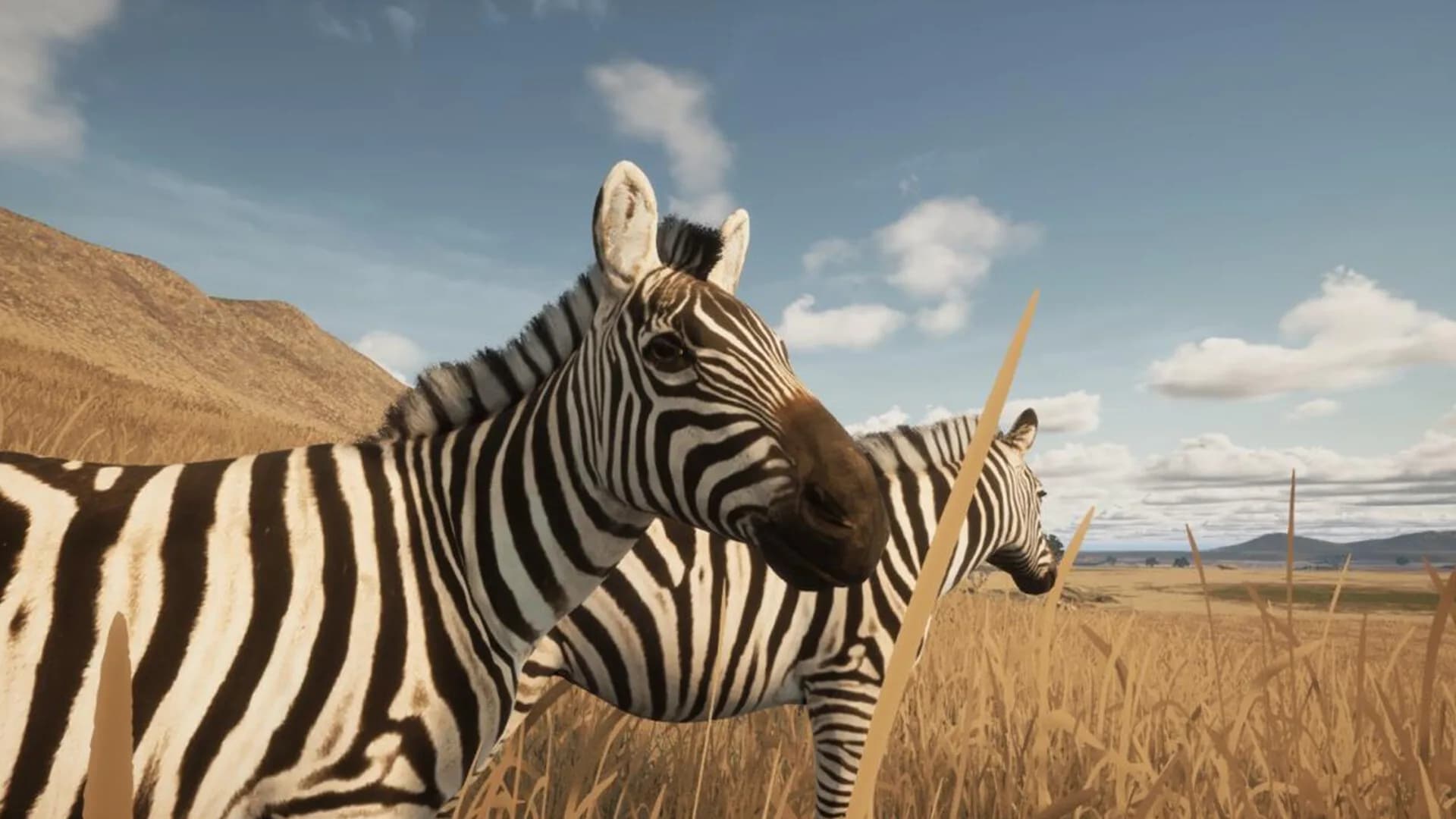 Animalia Survival görsel 6