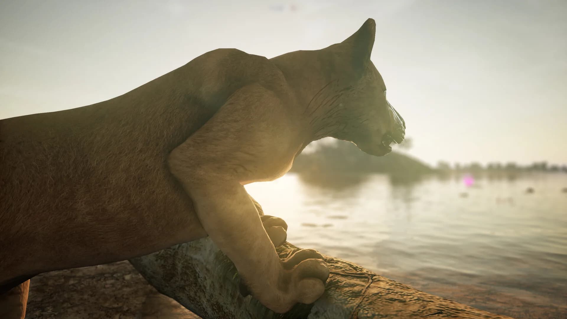 Animalia Survival görsel 8