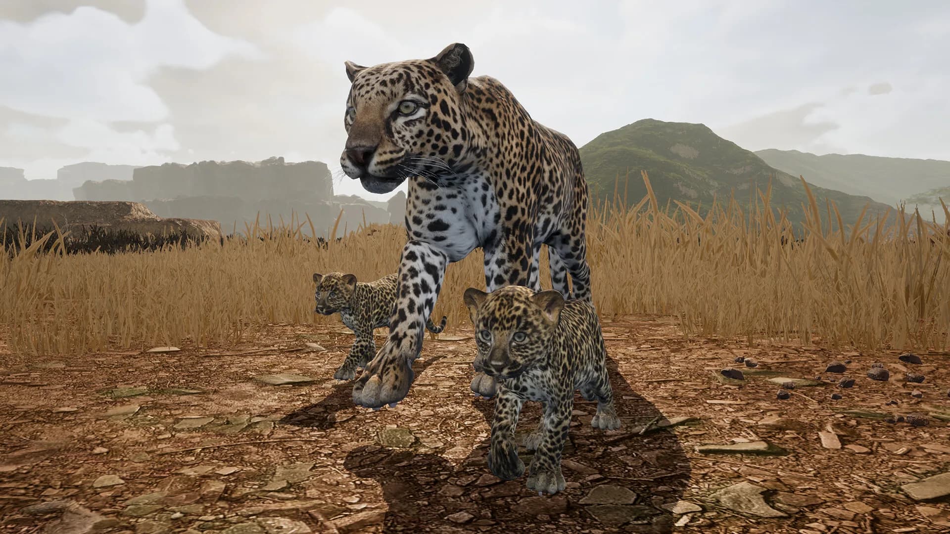 Animalia Survival görsel 9