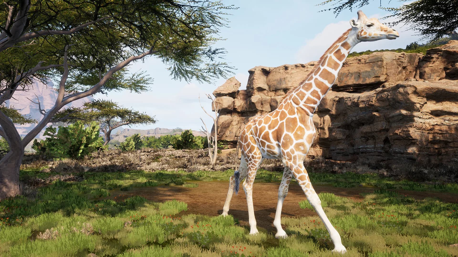 Animalia Survival görsel 11