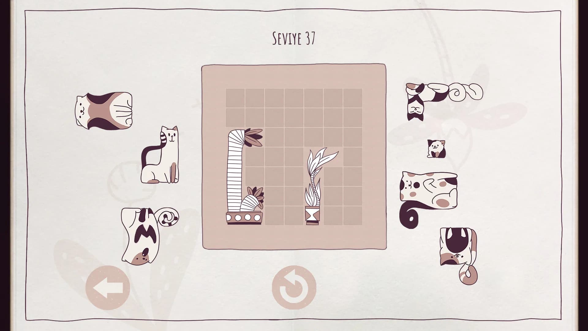 Cats Organized Neatly görsel 5