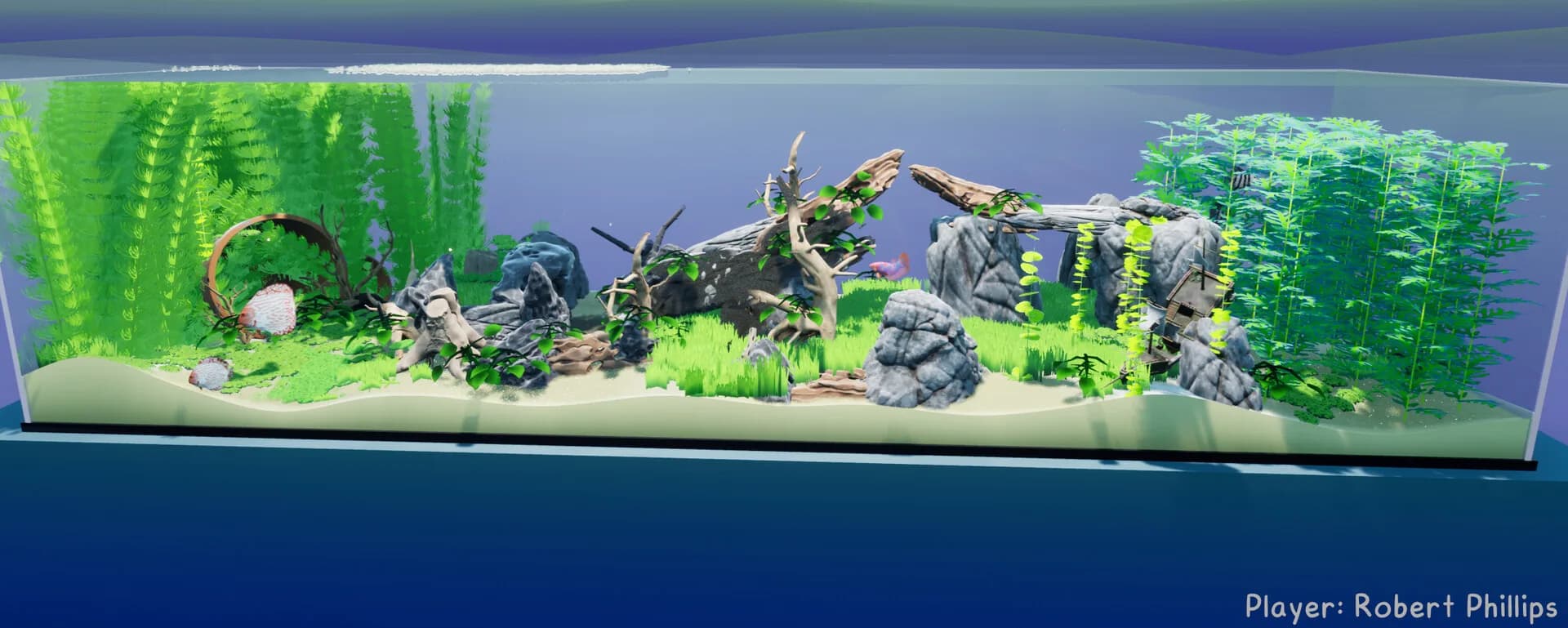 Fish Game görsel 13