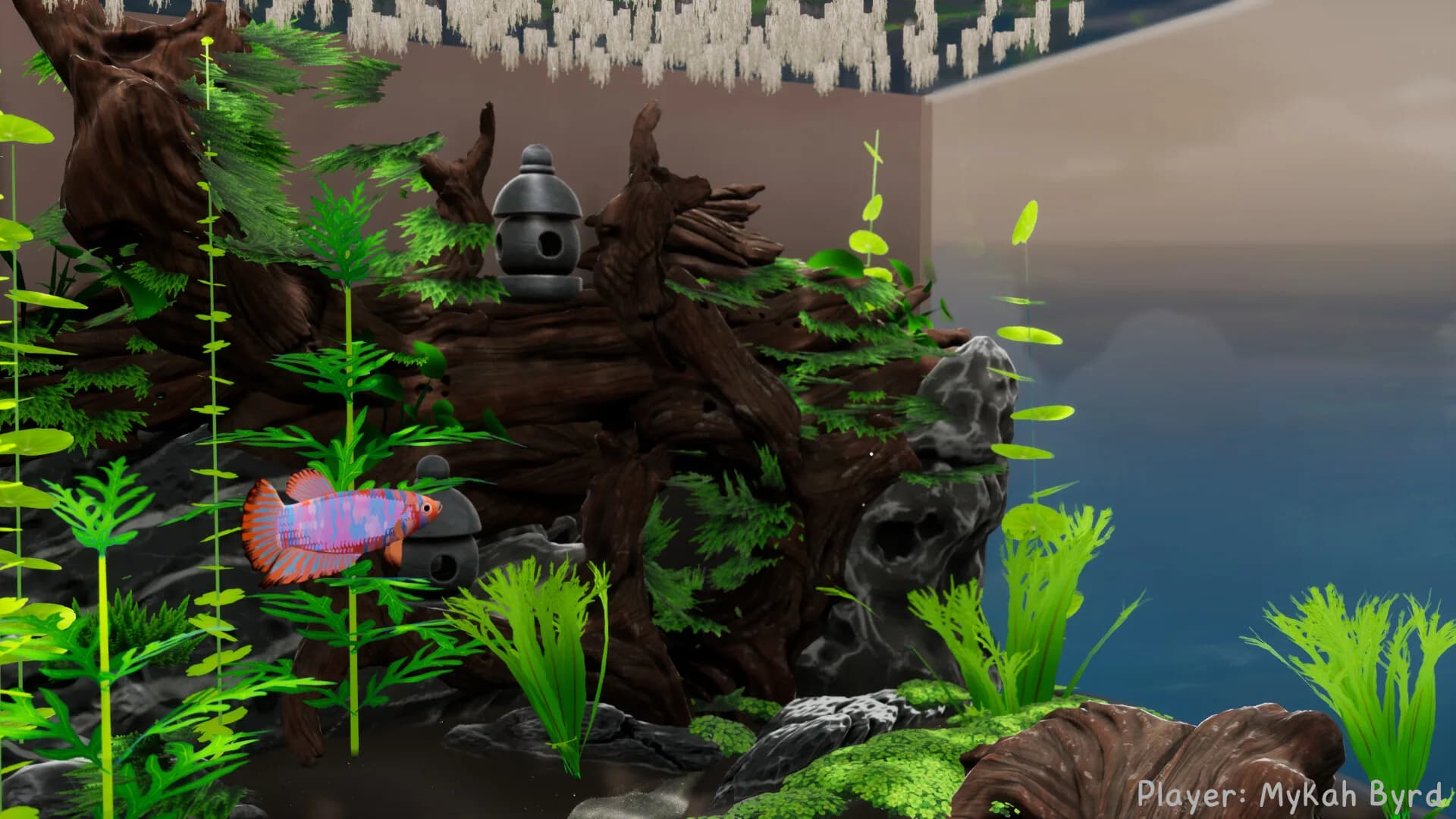 Fish Game görsel 10