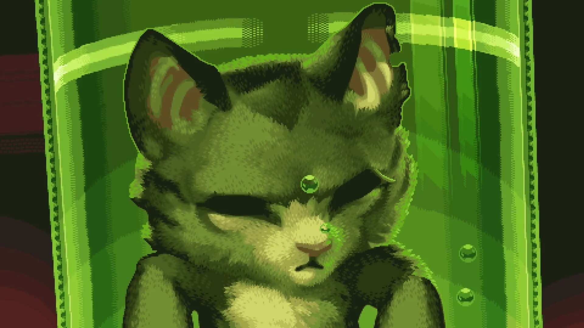 Super Catboy görsel 10