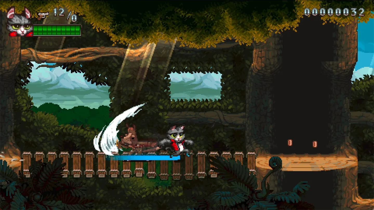 Super Catboy görsel 11