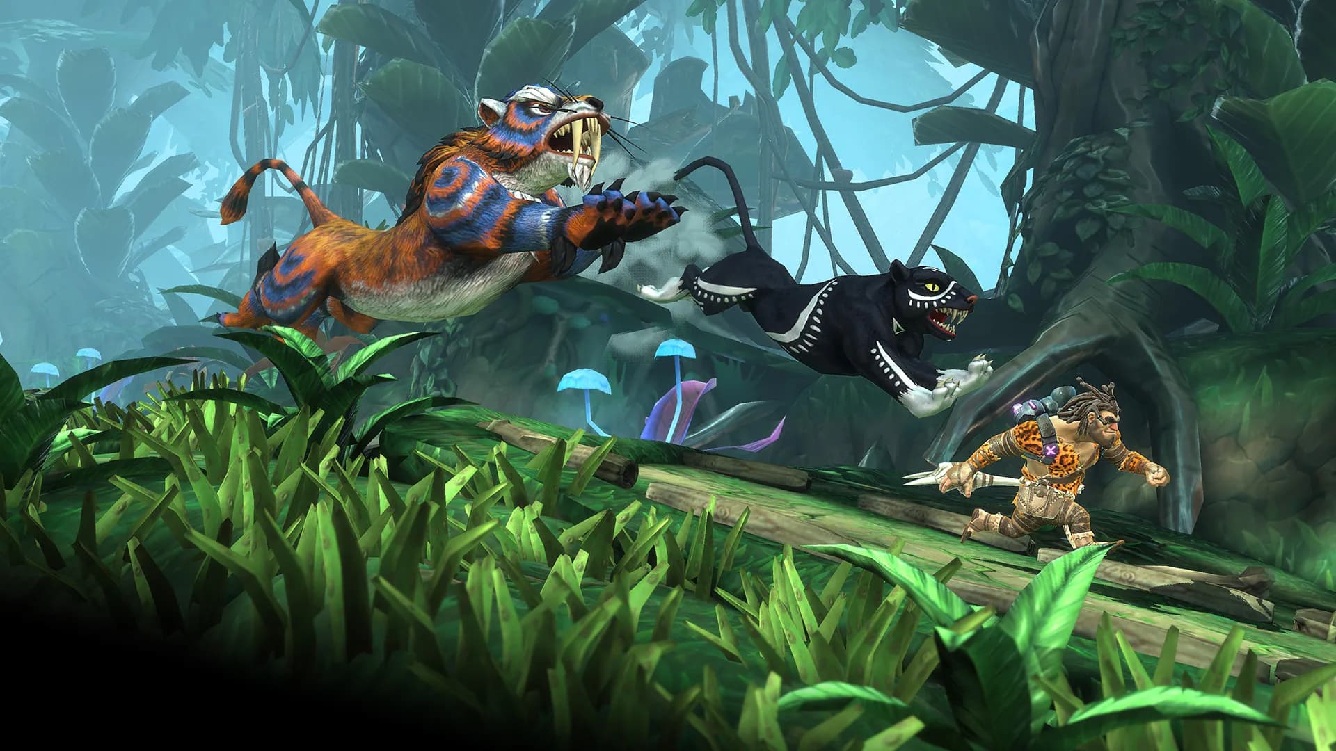 Jet Kave Adventure görsel 3
