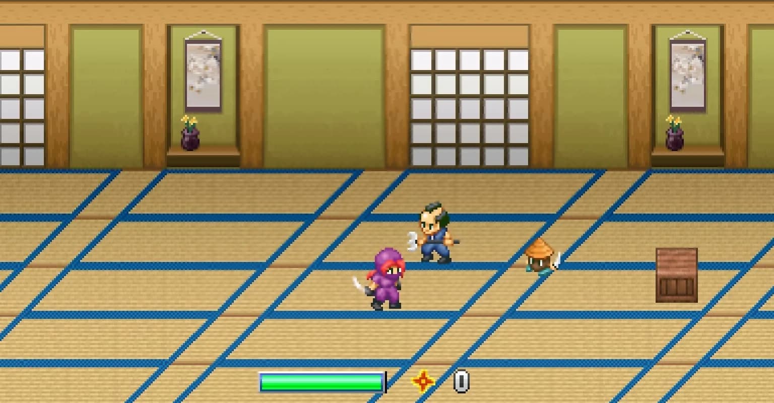 Ninja Kunoichi görsel 3