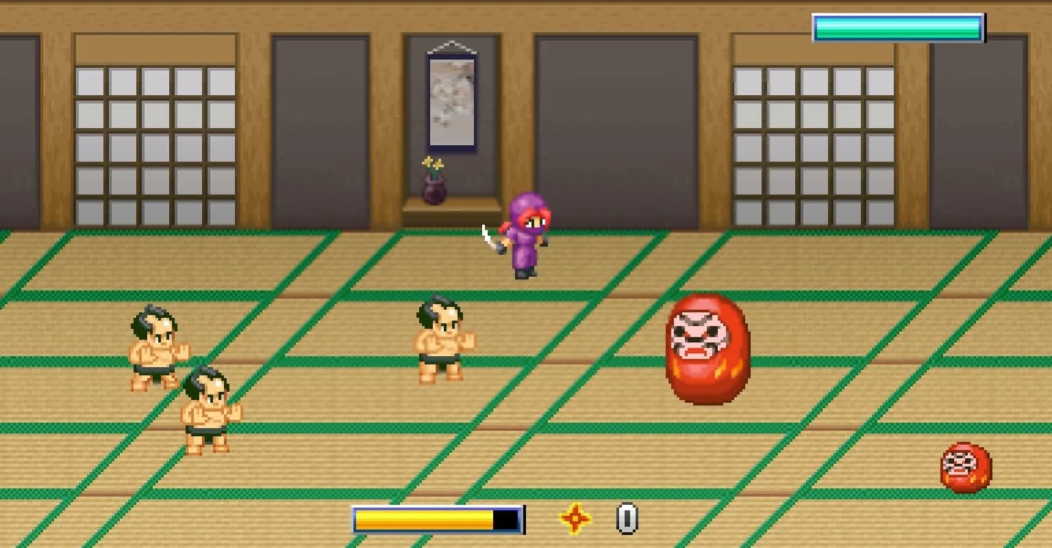 Ninja Kunoichi görsel 5