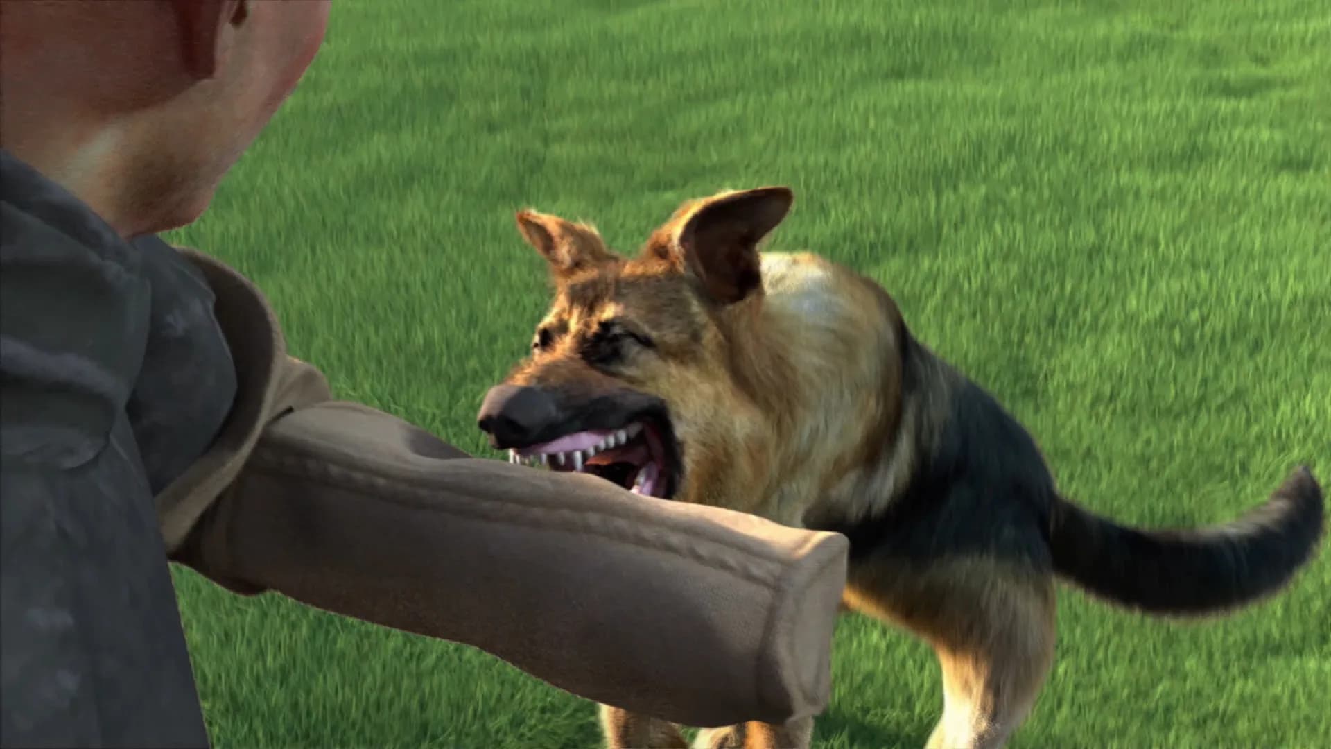 Animal Trainer görsel 2