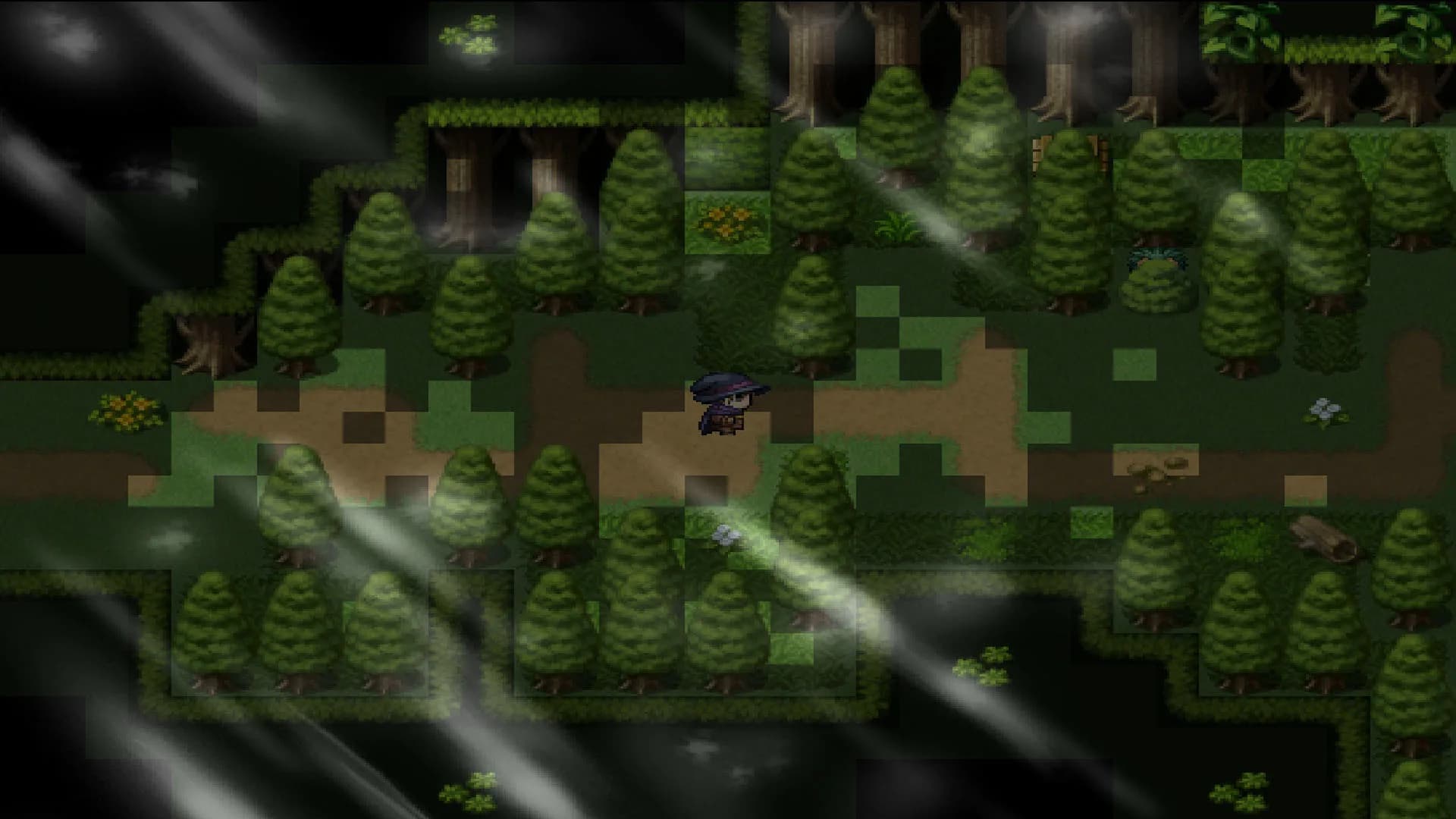 Wizard's Quest görsel 3