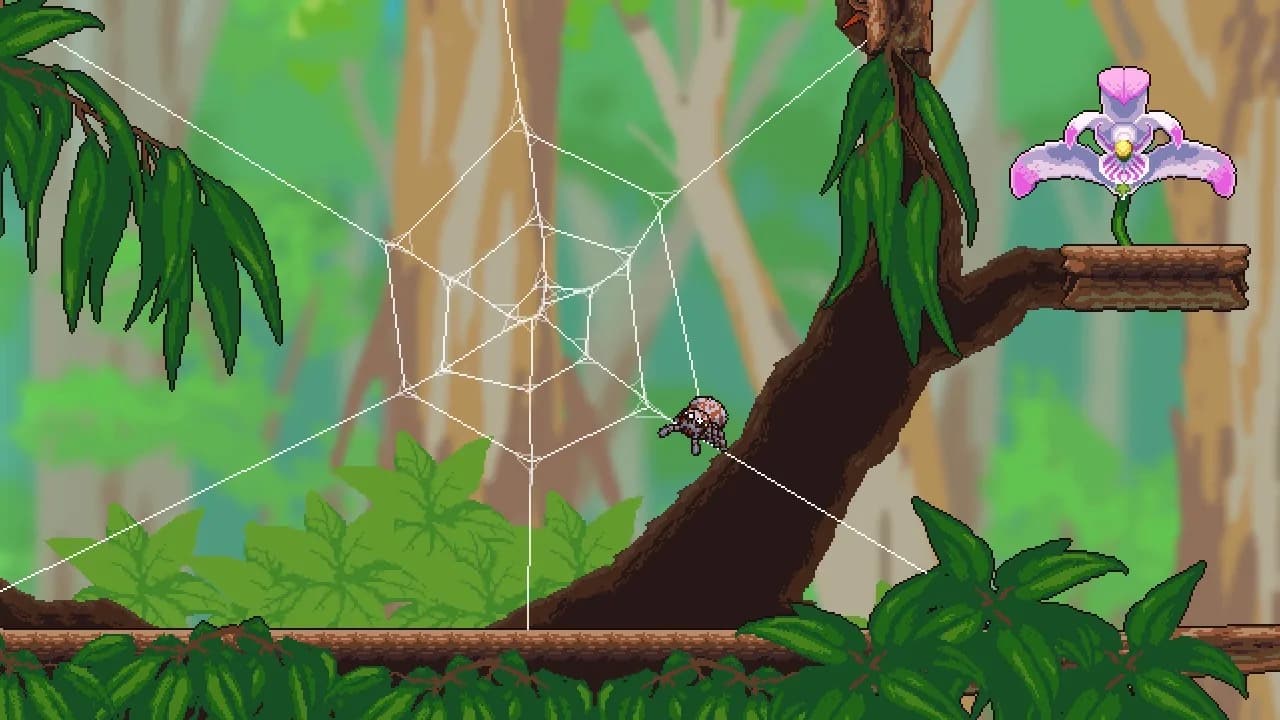 Webbed görsel 2