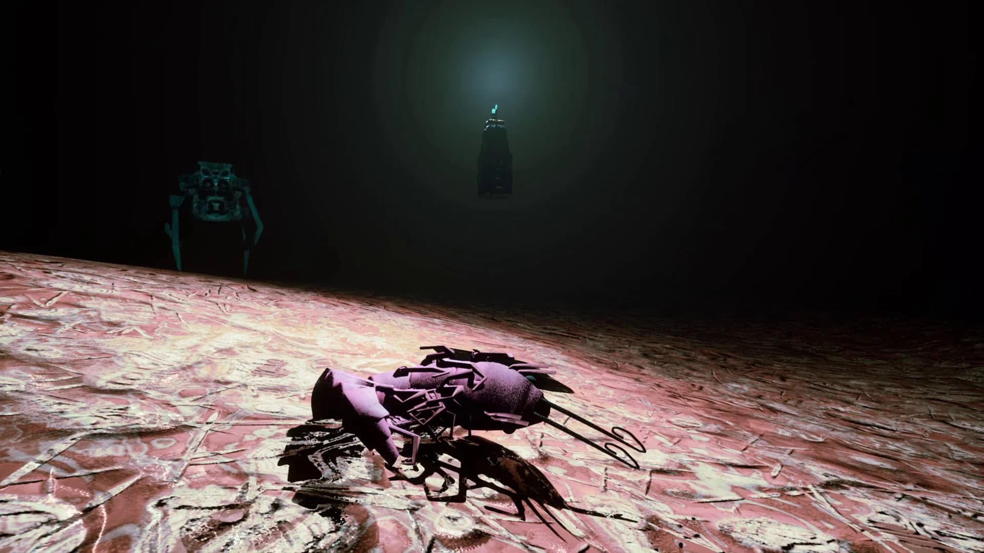 S H R i M P görsel 3
