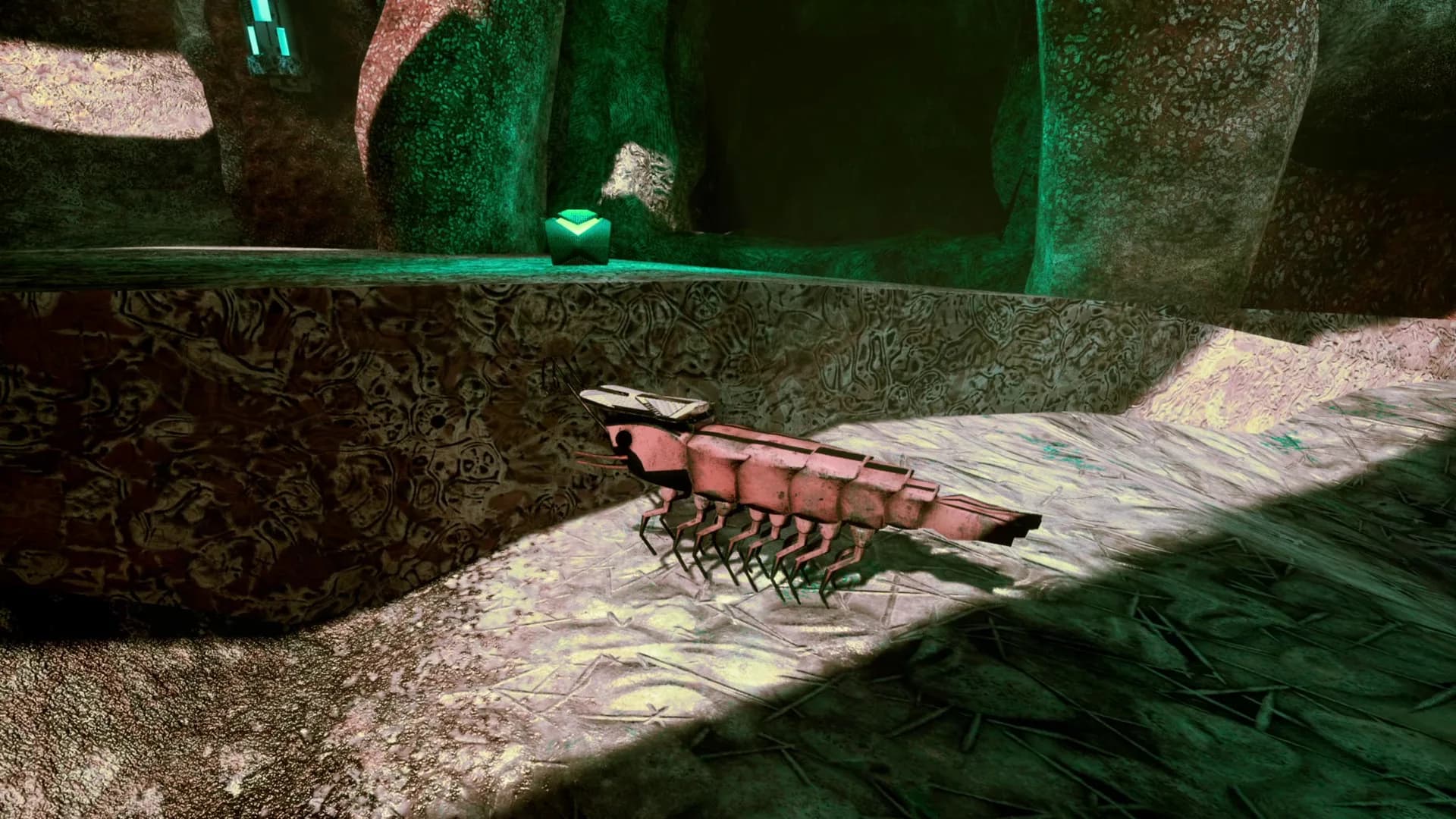 S H R i M P görsel 20