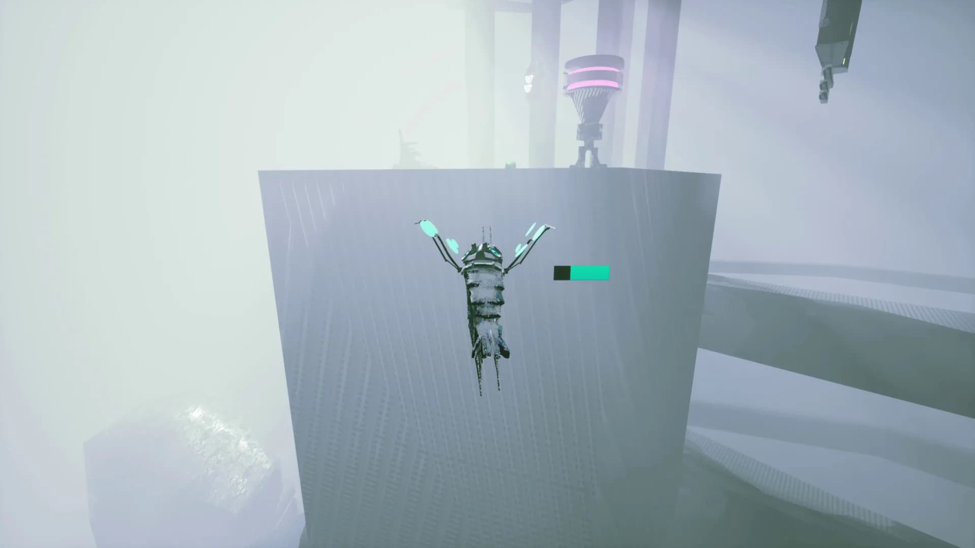 S H R i M P görsel 22