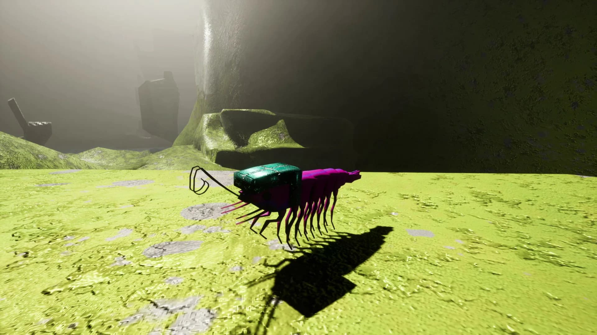 S H R i M P görsel 29