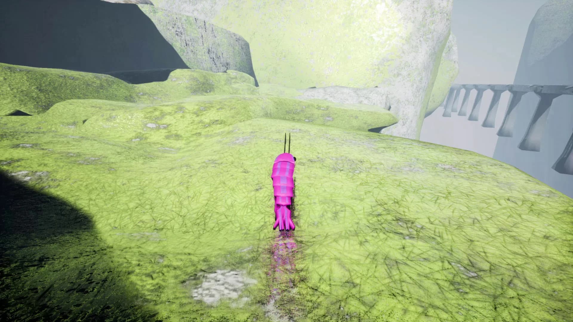 S H R i M P görsel 30