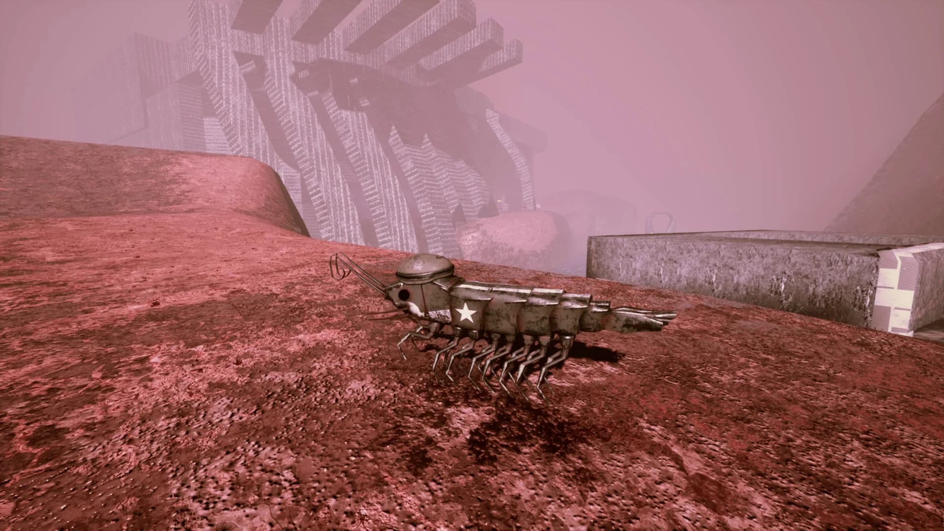 S H R i M P görsel 31