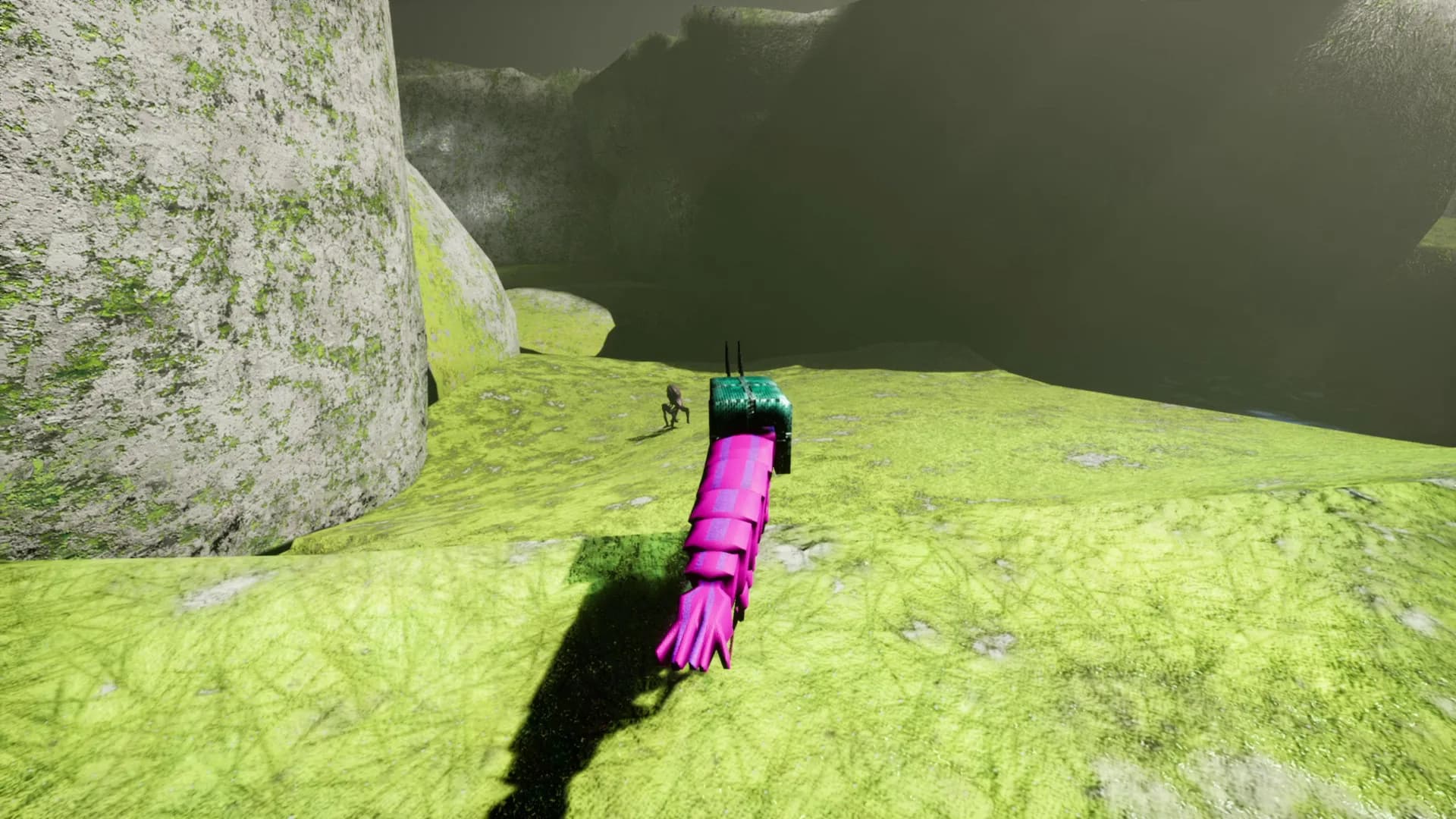 S H R i M P görsel 35