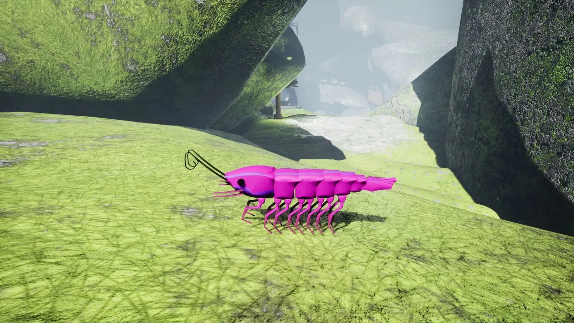 S H R i M P görsel 37