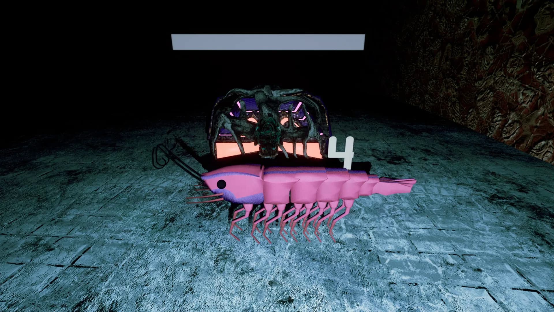 S H R i M P görsel 7