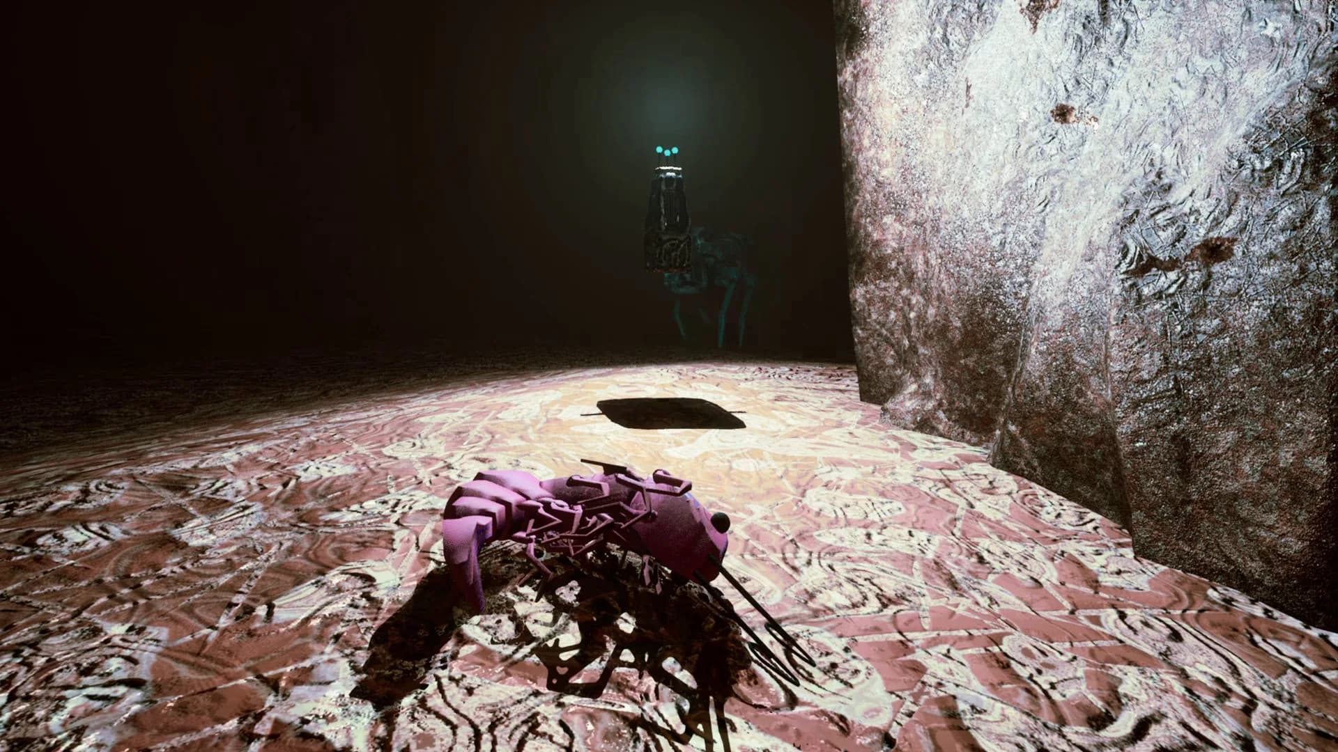 S H R i M P görsel 9