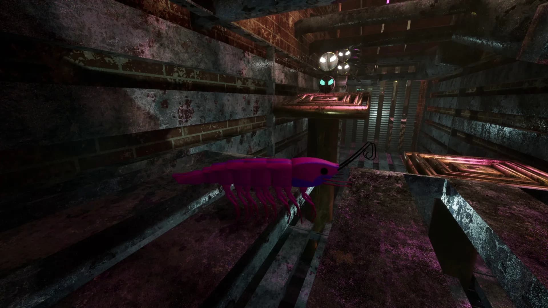 S H R i M P görsel 10
