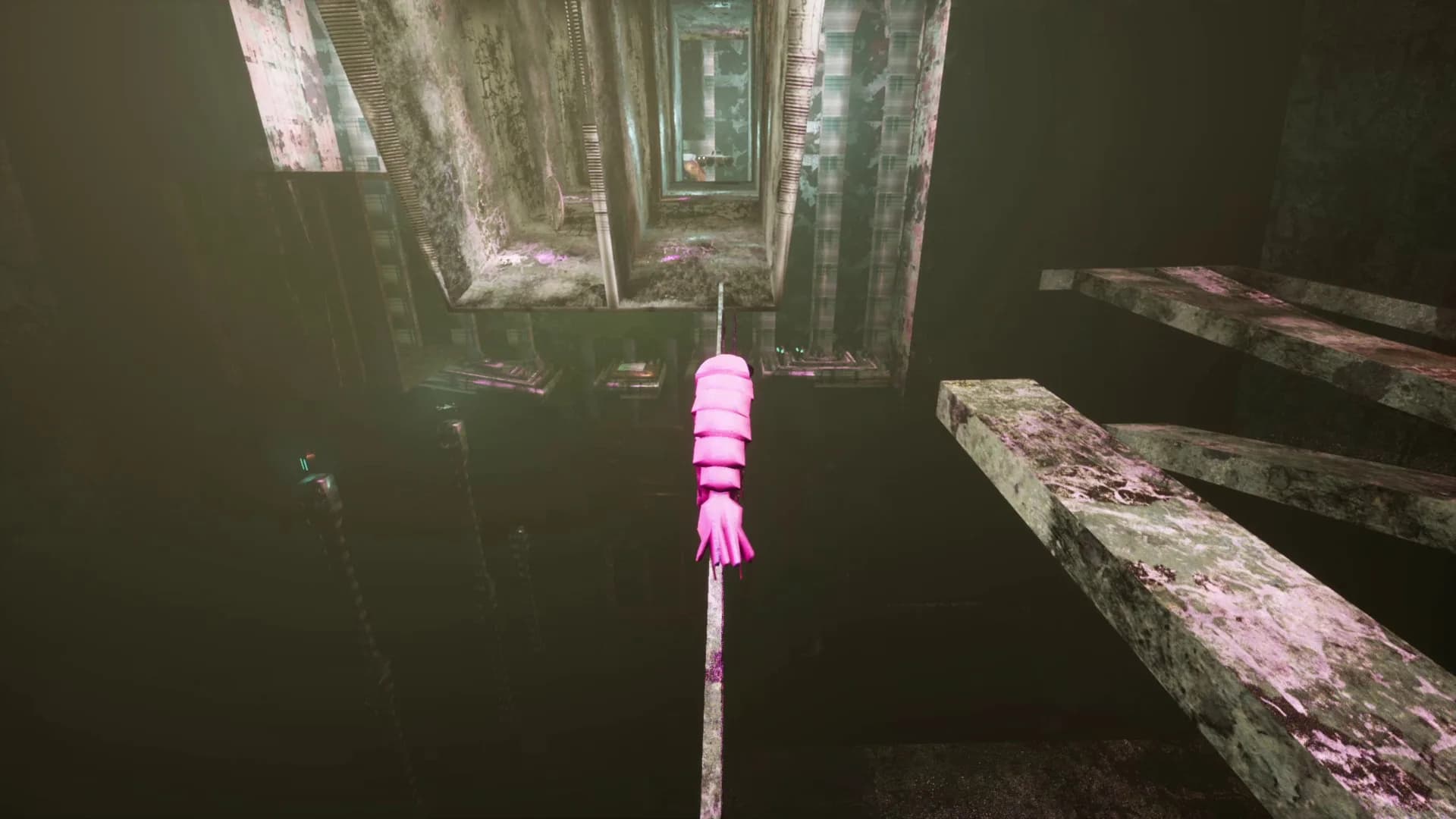 S H R i M P görsel 11