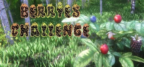 Berries Challenge görsel 1