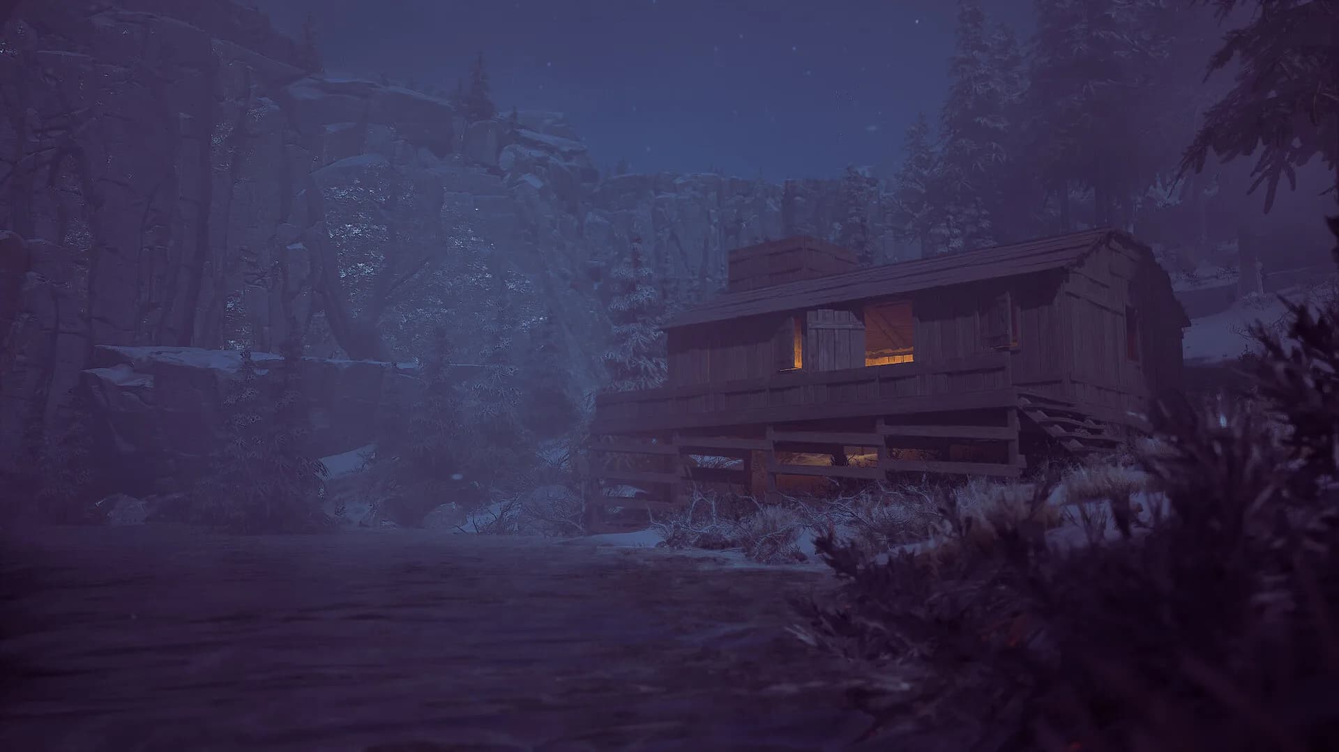 Winter Survival görsel 14