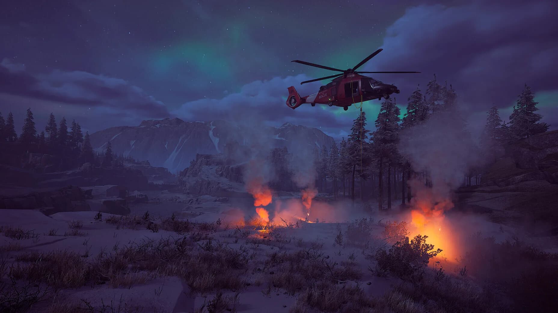 Winter Survival görsel 22