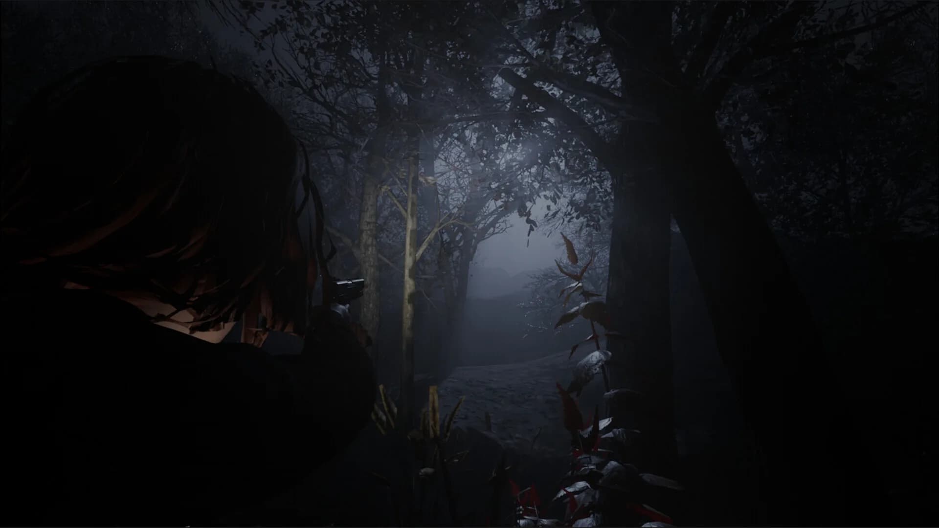 Cult of Dawn görsel 3