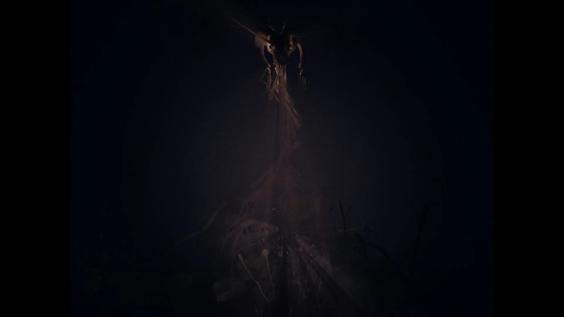 Cult of Dawn görsel 13