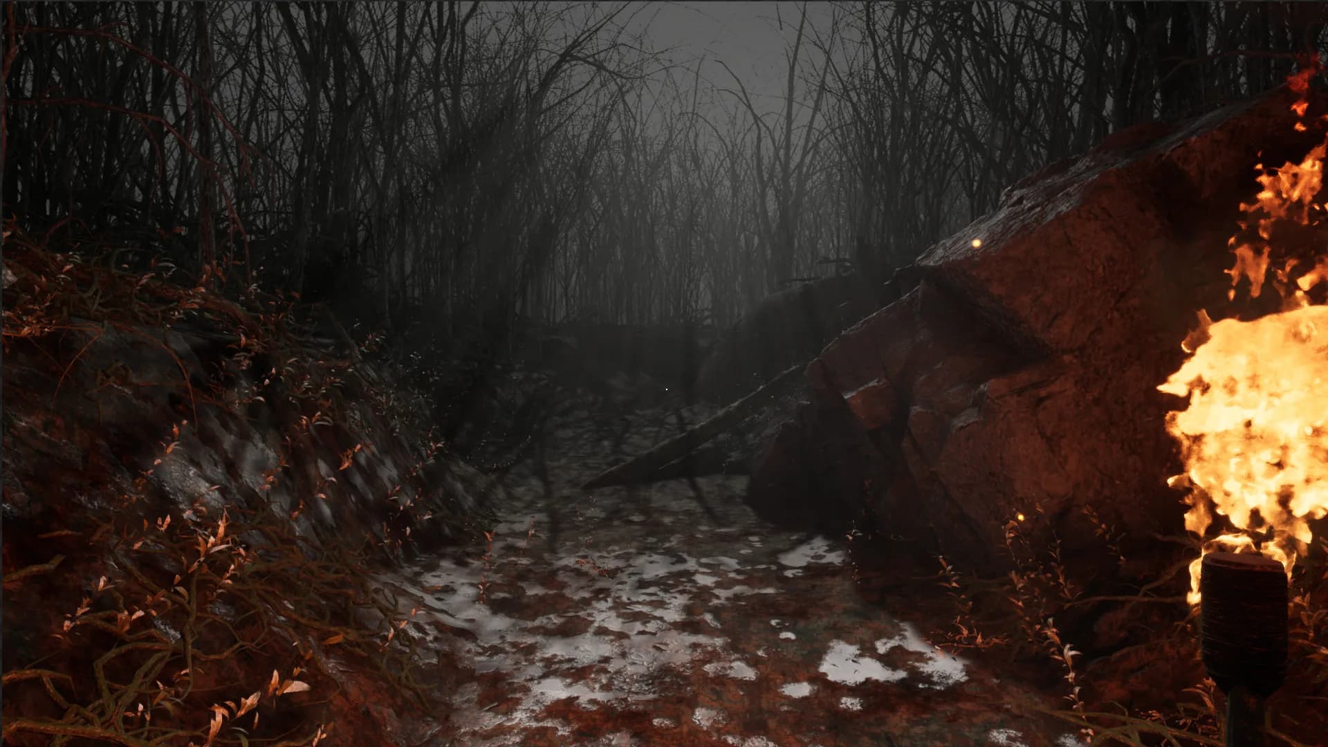The Weald görsel 3
