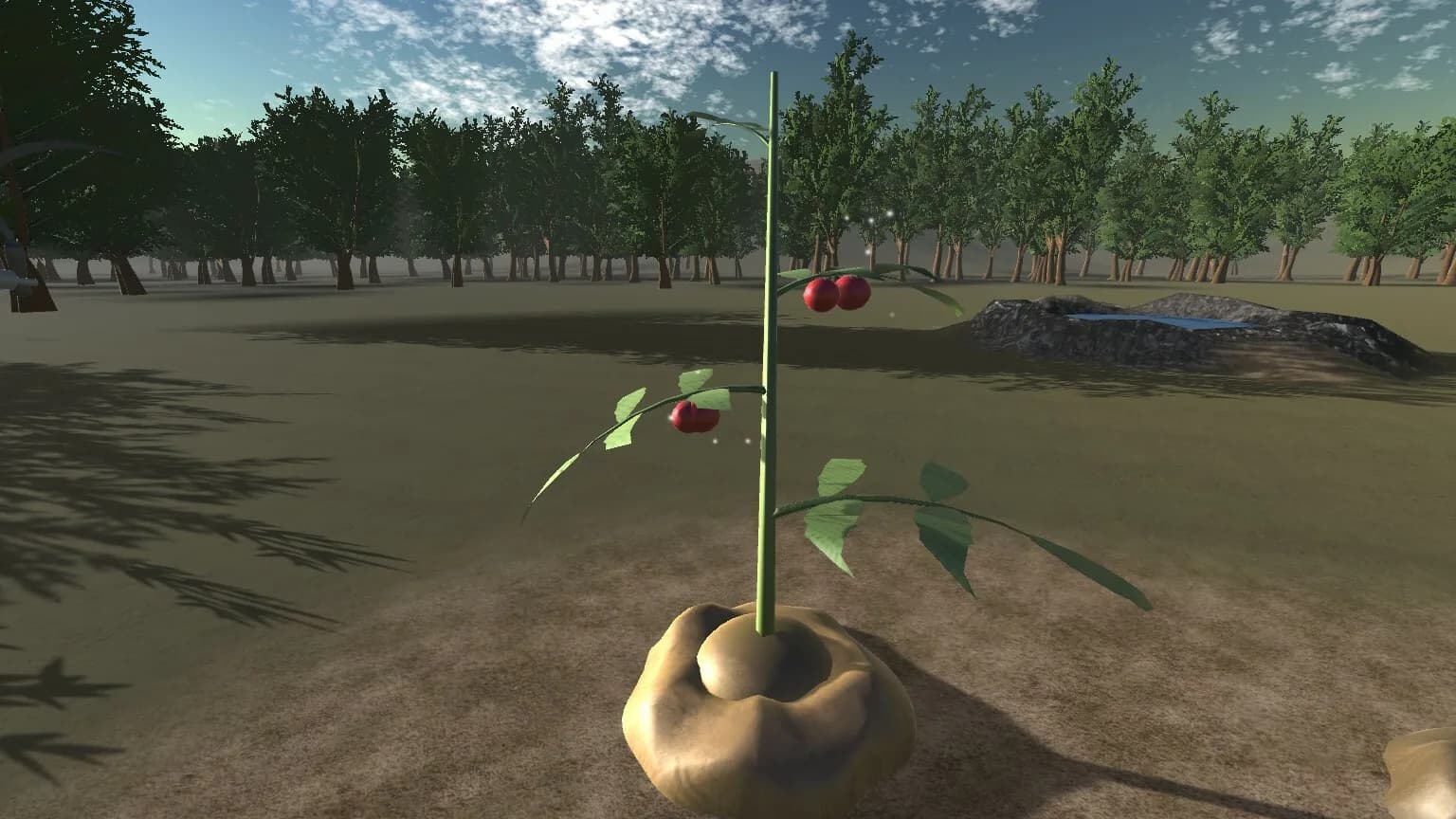 VR Quiet Life görsel 5