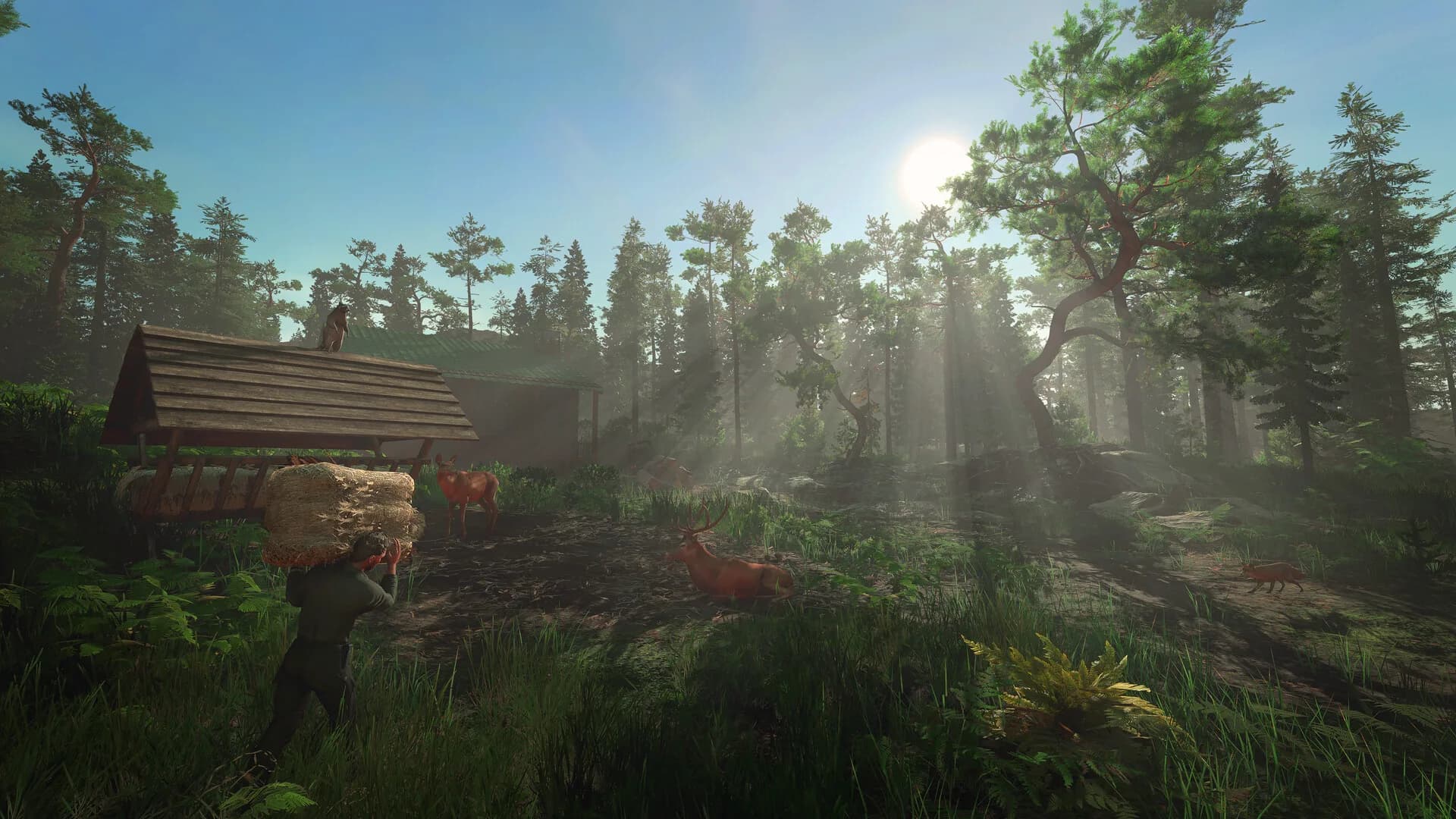 Forester Simulator görsel 4