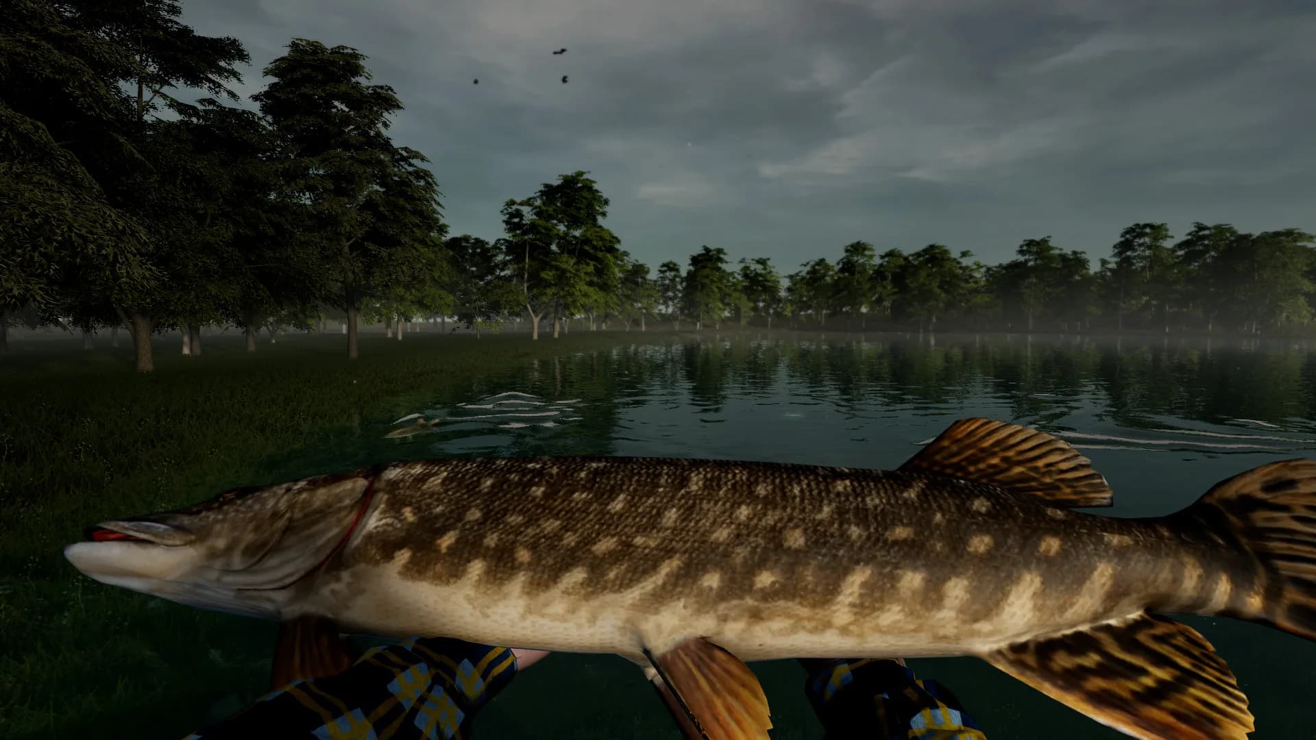 Tales of Herring Lake görsel 10