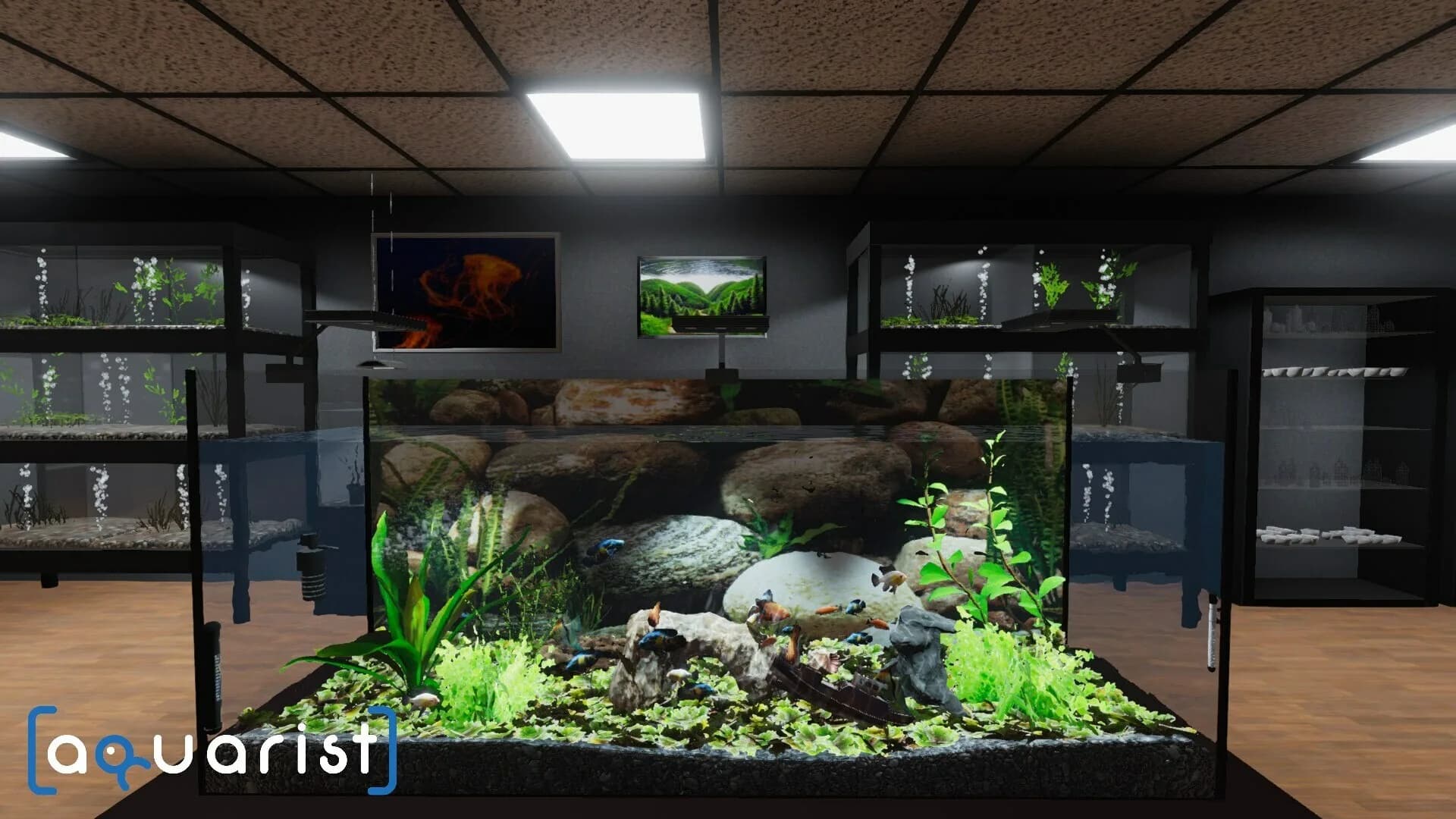 Aquarist - akvaryumlar inşa et, balıkları üret, işini büyüt! görsel 2